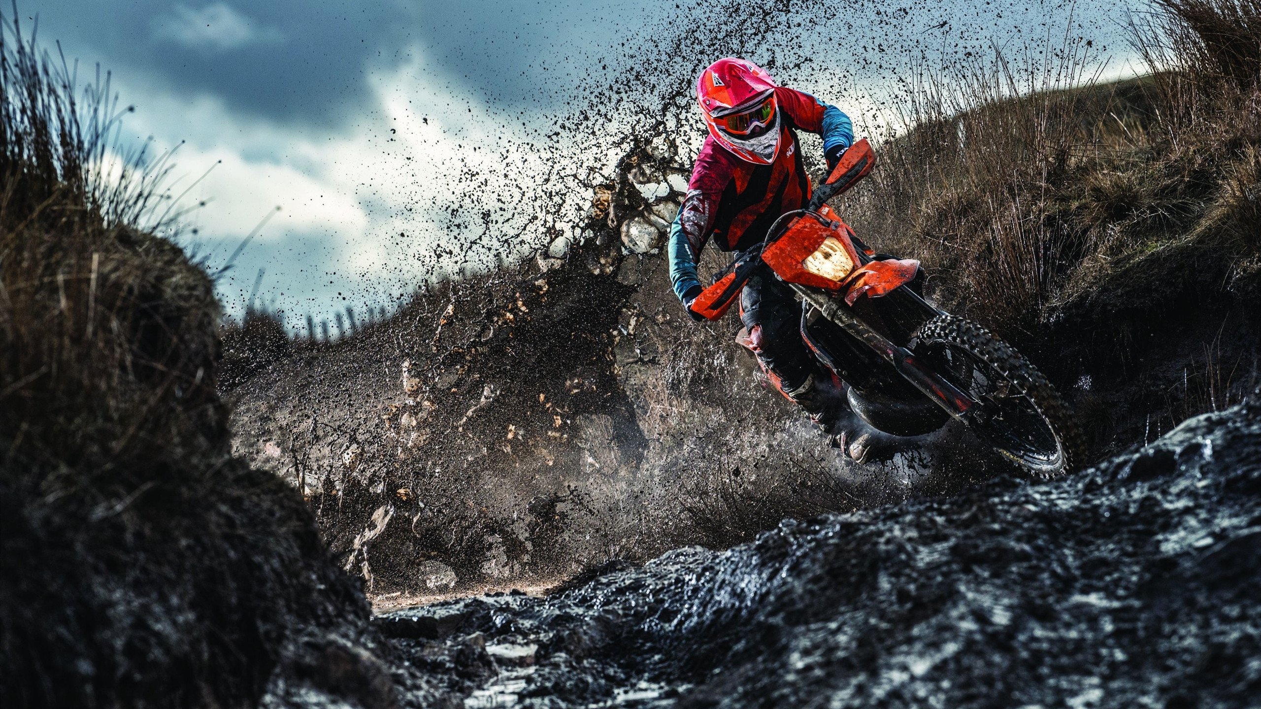 公牛后卫行为失常 似有离队迹象，公牛进过几次季后赛